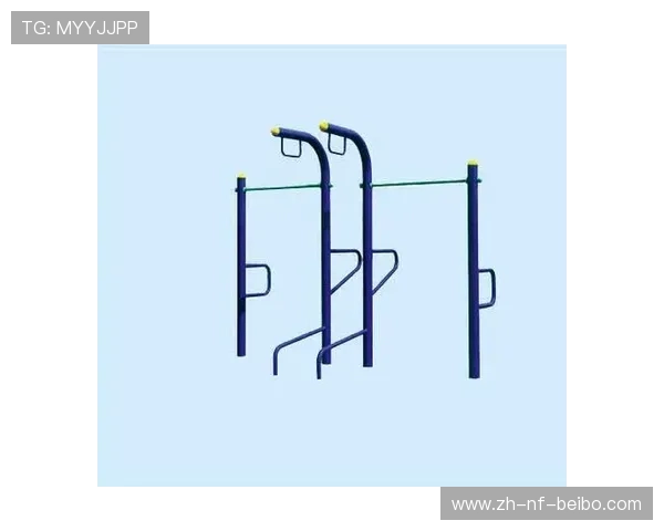 组合型健身器材的适用范围与实用性分析